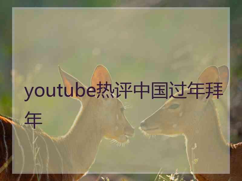 youtube热评中国过年拜年