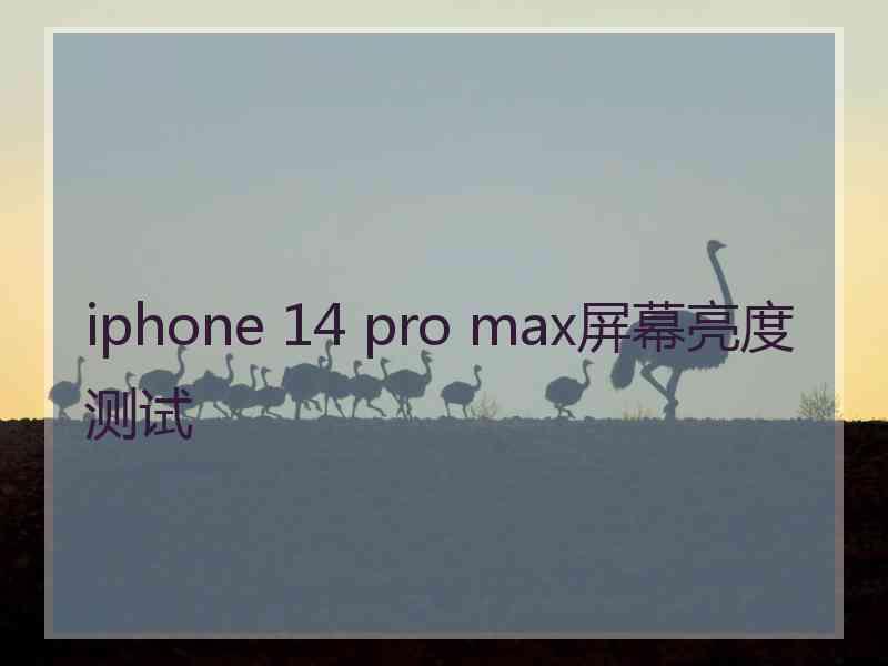 iphone 14 pro max屏幕亮度测试