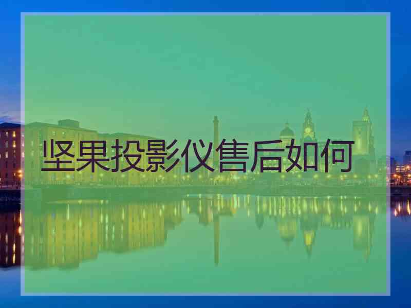 坚果投影仪售后如何