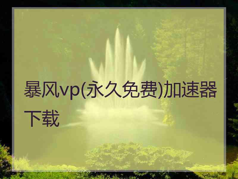 暴风vp(永久免费)加速器下载