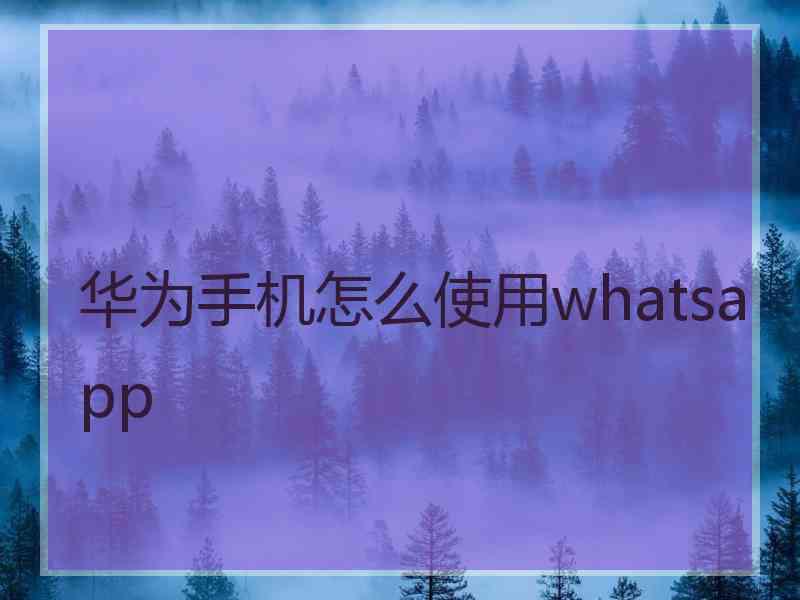 华为手机怎么使用whatsapp