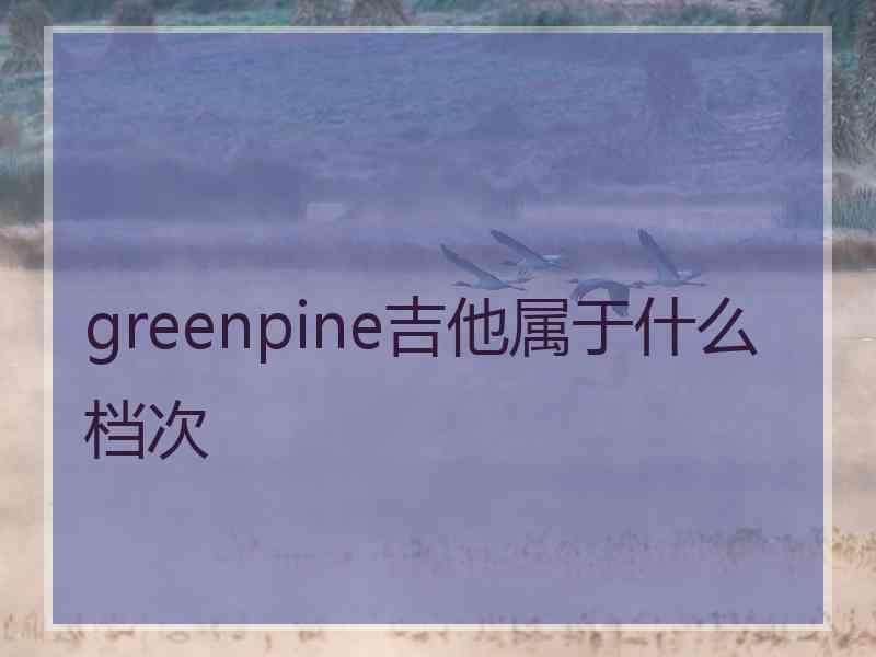 greenpine吉他属于什么档次