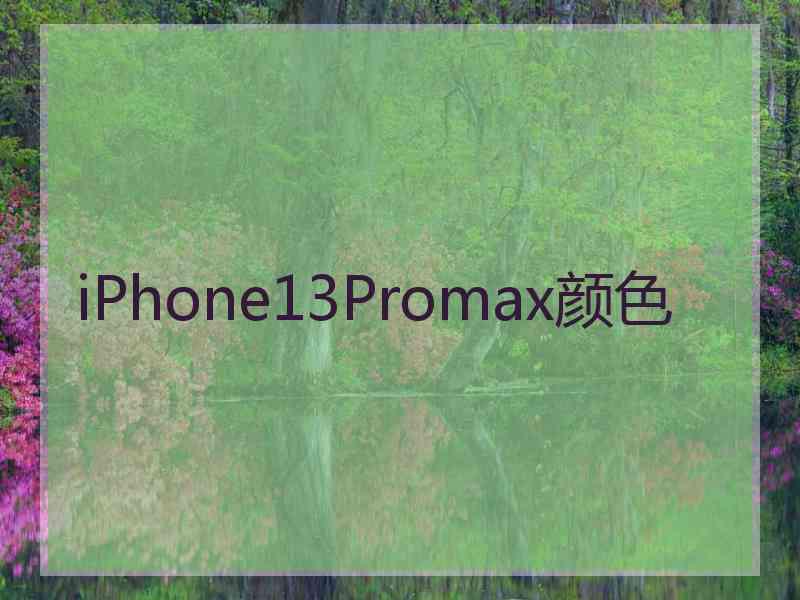 iPhone13Promax颜色