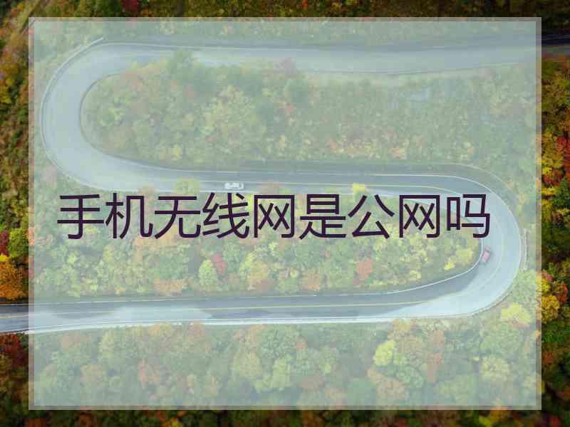 手机无线网是公网吗