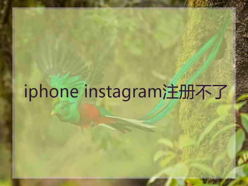 iphone instagram注册不了