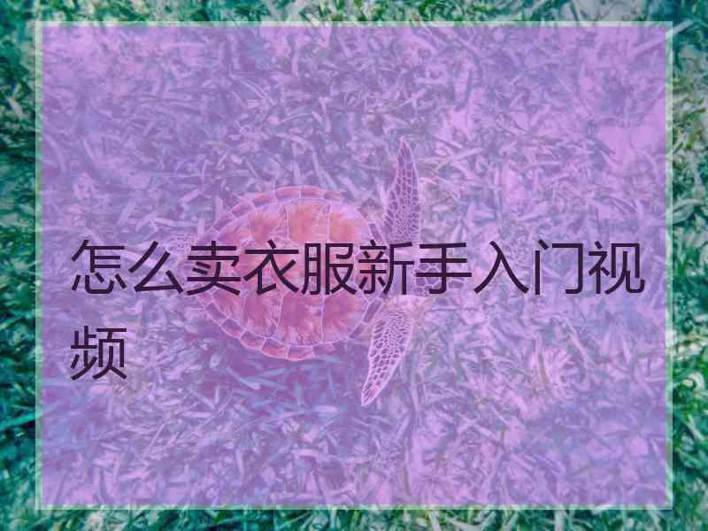 怎么卖衣服新手入门视频