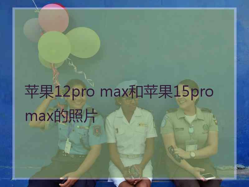 苹果12pro max和苹果15promax的照片