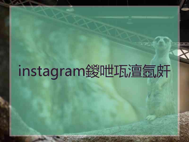 instagram鍐呭瓨澶氬皯