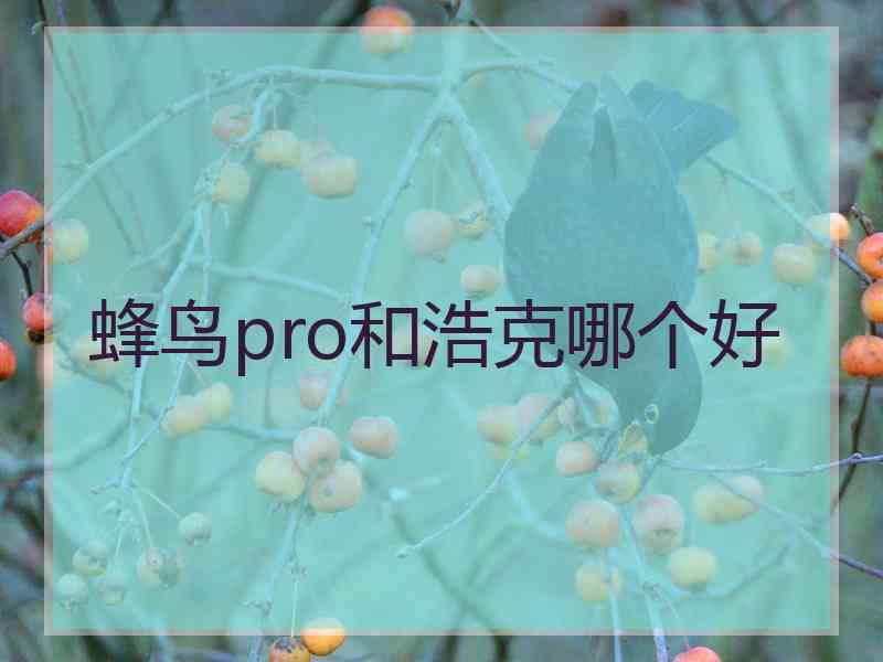 蜂鸟pro和浩克哪个好