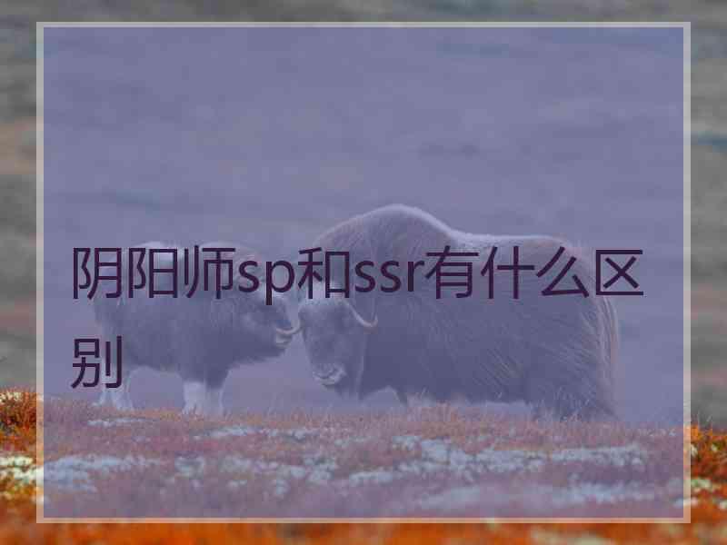 阴阳师sp和ssr有什么区别