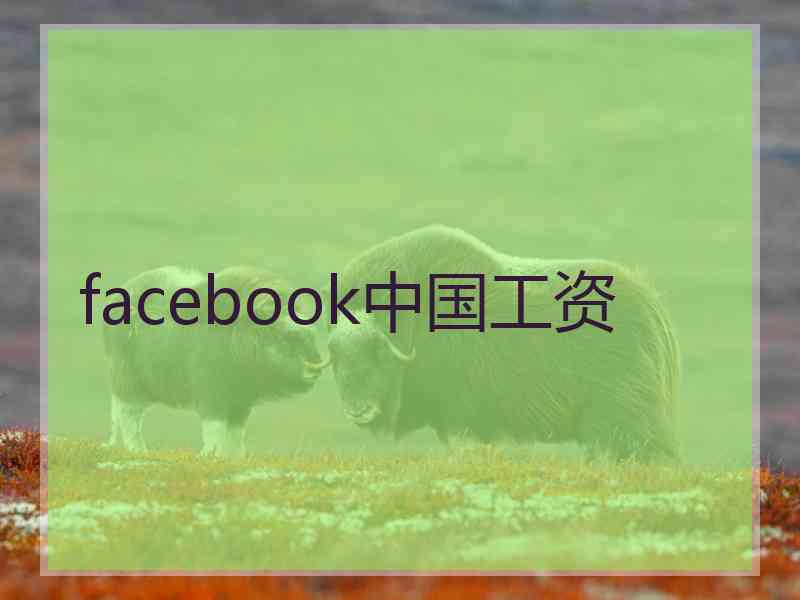 facebook中国工资