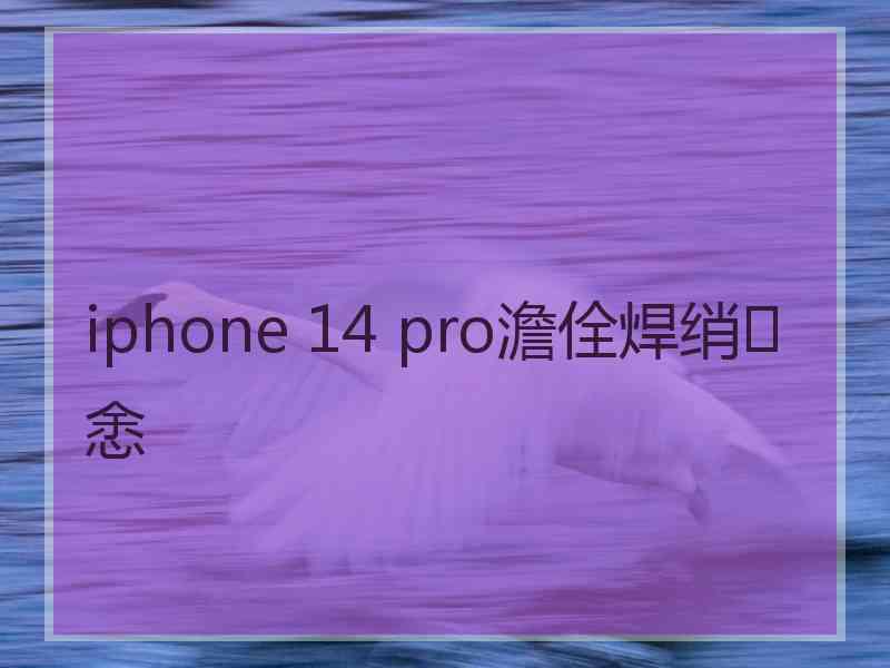 iphone 14 pro澹佺焊绡悆