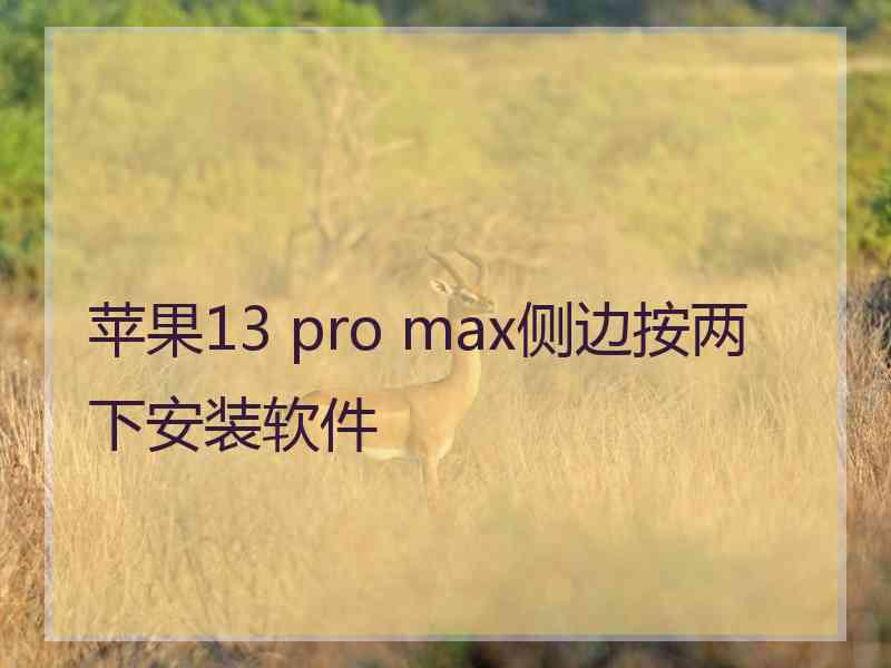 苹果13 pro max侧边按两下安装软件