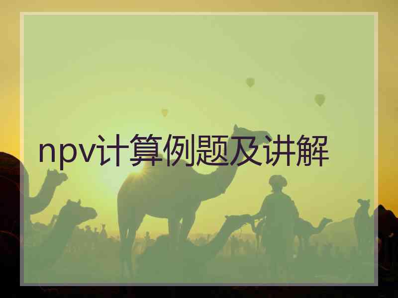 npv计算例题及讲解