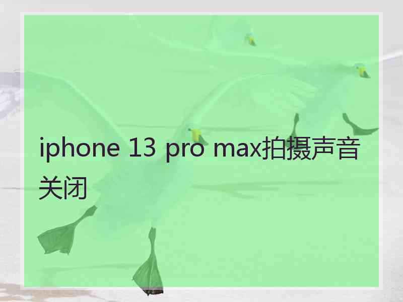 iphone 13 pro max拍摄声音关闭