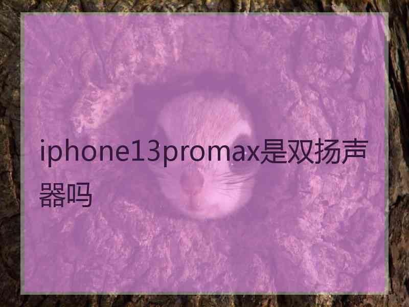 iphone13promax是双扬声器吗