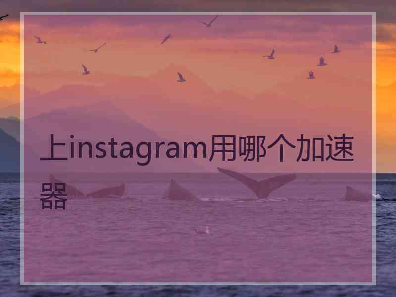 上instagram用哪个加速器