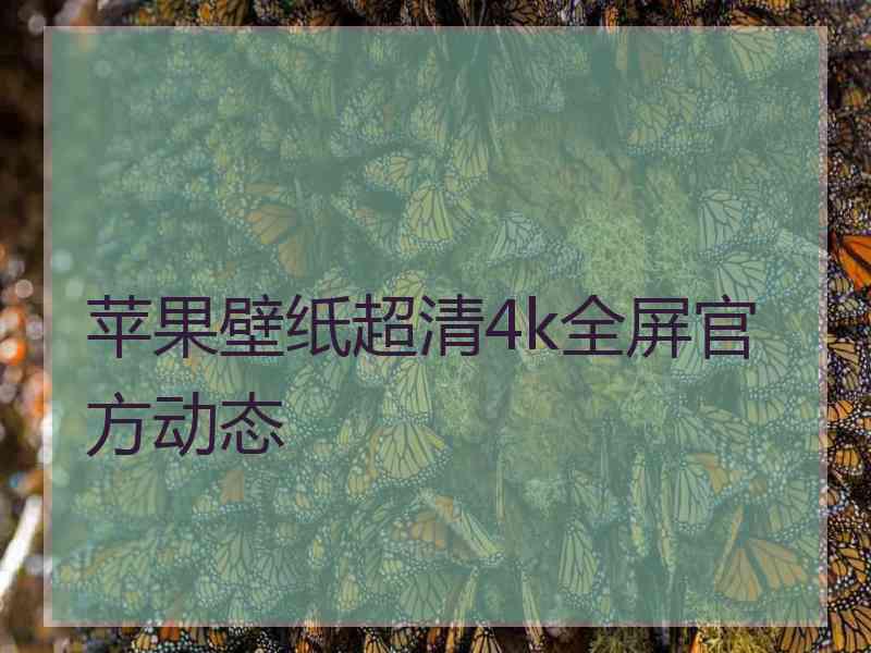 苹果壁纸超清4k全屏官方动态