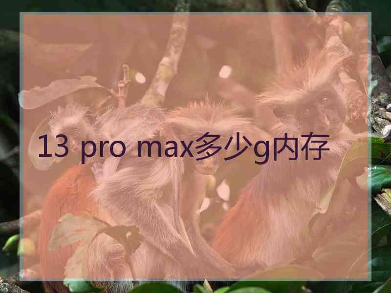 13 pro max多少g内存