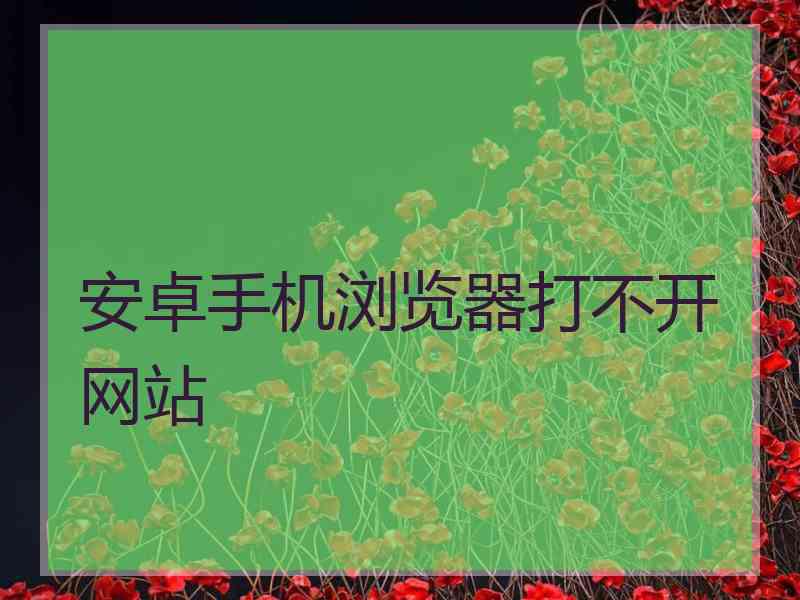 安卓手机浏览器打不开网站