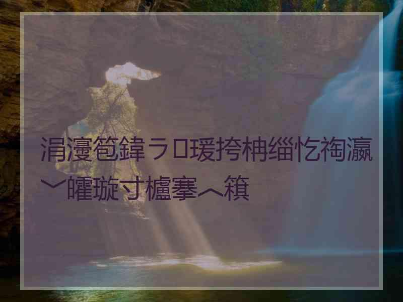 涓濅笣鍏ラ瑗挎柟缁忔祹瀛﹀皬璇寸櫨搴︿簯