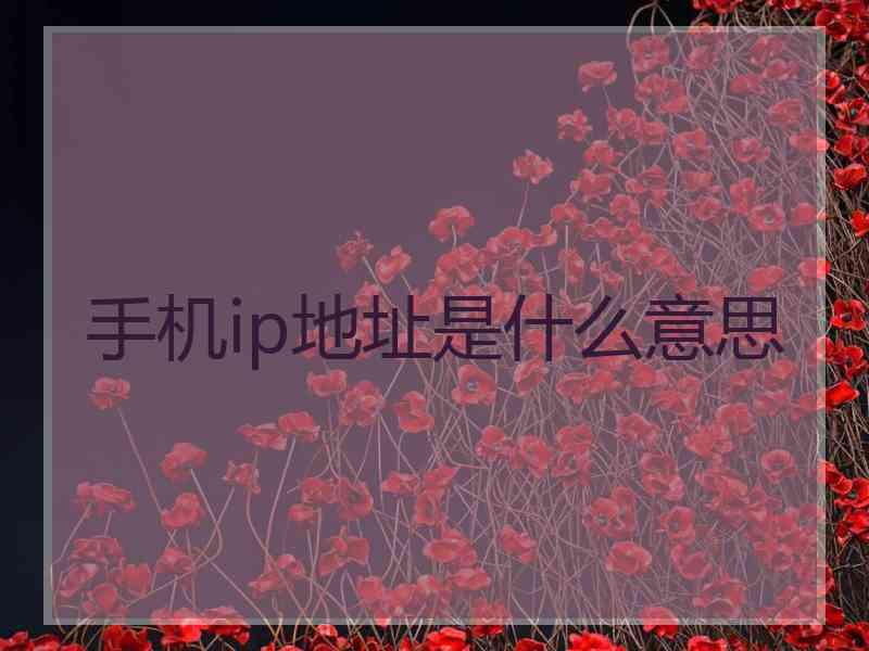 手机ip地址是什么意思