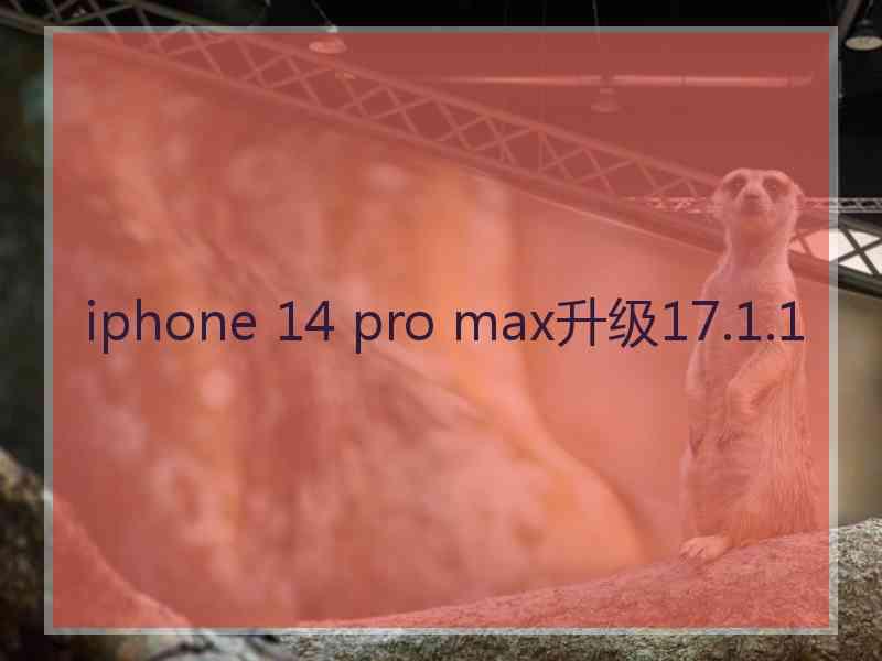 iphone 14 pro max升级17.1.1