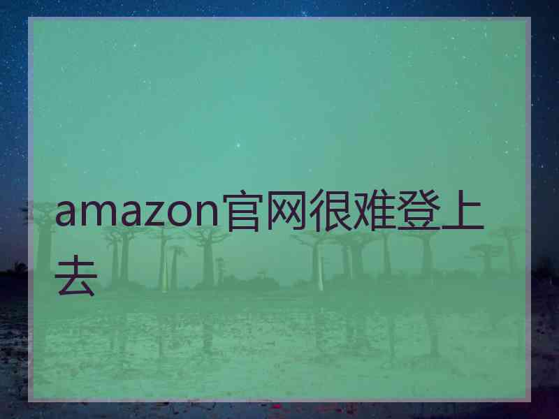 amazon官网很难登上去