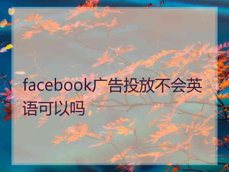 facebook广告投放不会英语可以吗