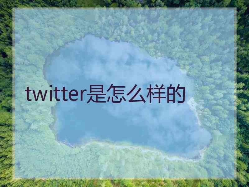 twitter是怎么样的