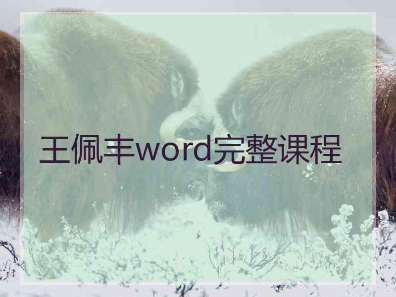 王佩丰word完整课程