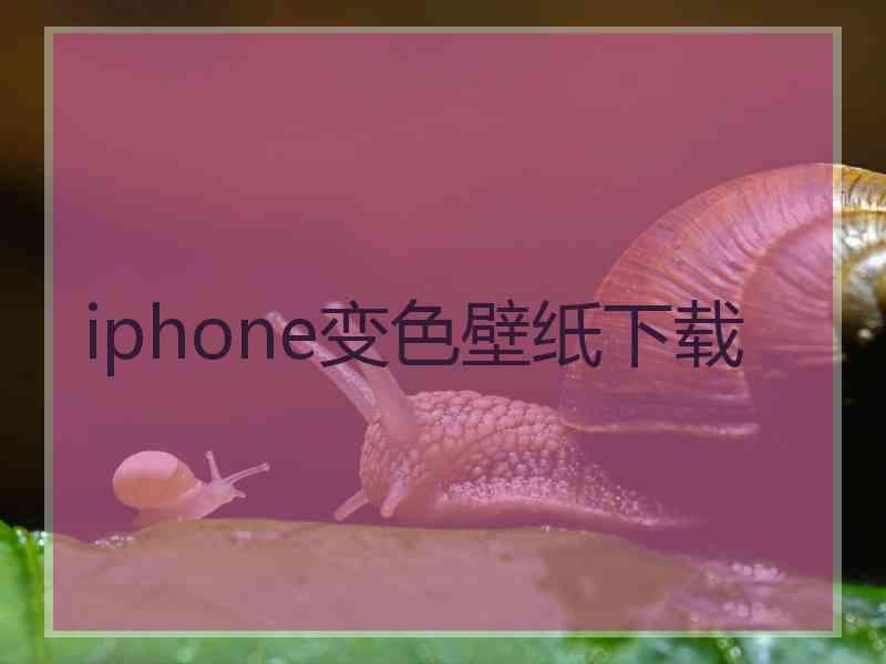 iphone变色壁纸下载