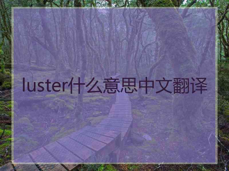 luster什么意思中文翻译