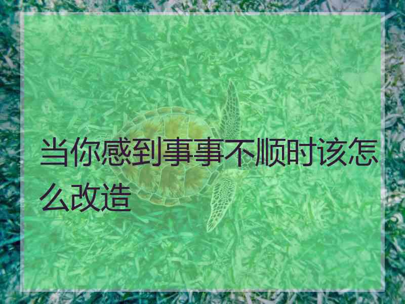 当你感到事事不顺时该怎么改造