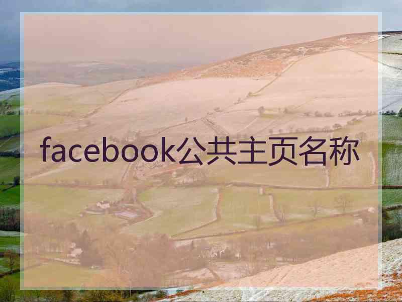 facebook公共主页名称