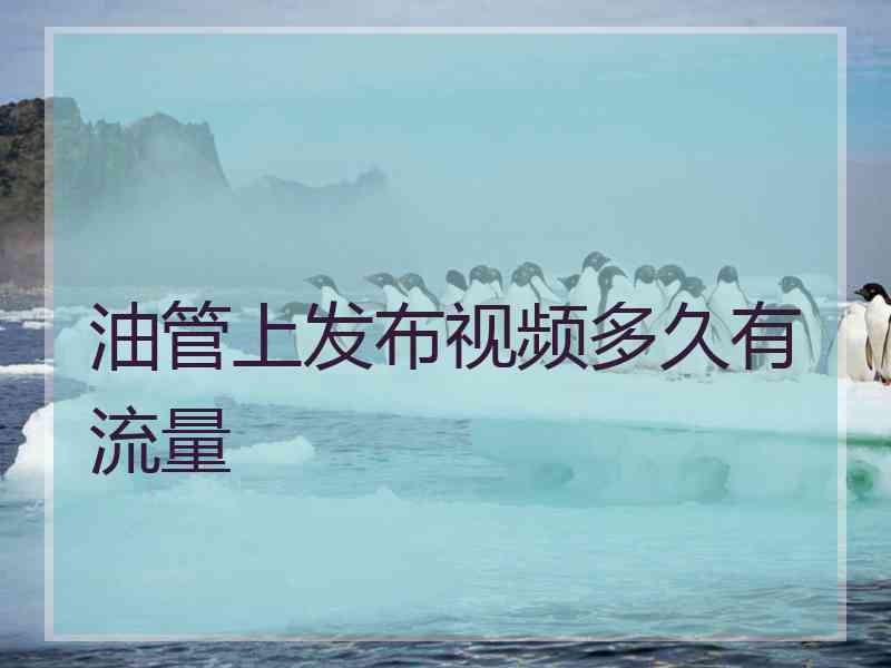 油管上发布视频多久有流量