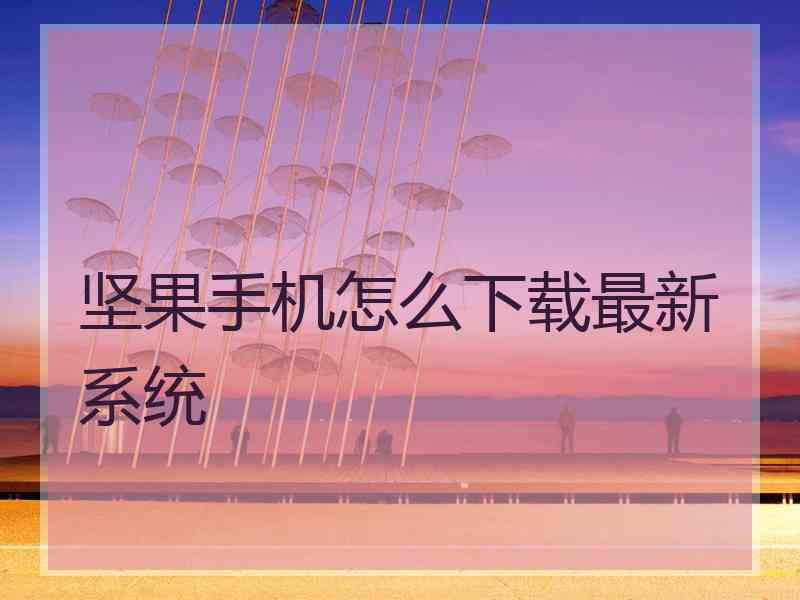 坚果手机怎么下载最新系统