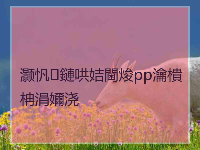 灏忛鏈哄姞閫焌pp瀹樻柟涓嬭浇