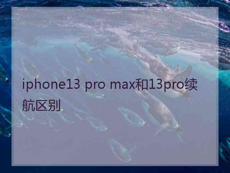 iphone13 pro max和13pro续航区别