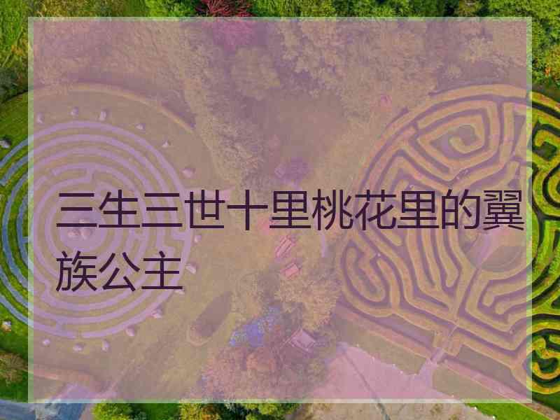 三生三世十里桃花里的翼族公主