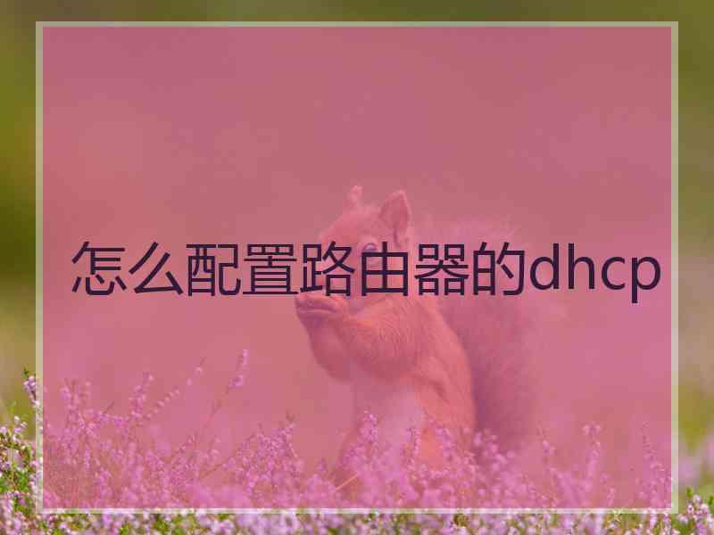 怎么配置路由器的dhcp