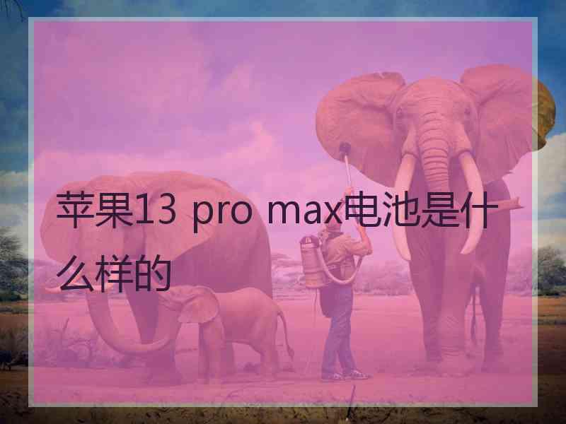 苹果13 pro max电池是什么样的