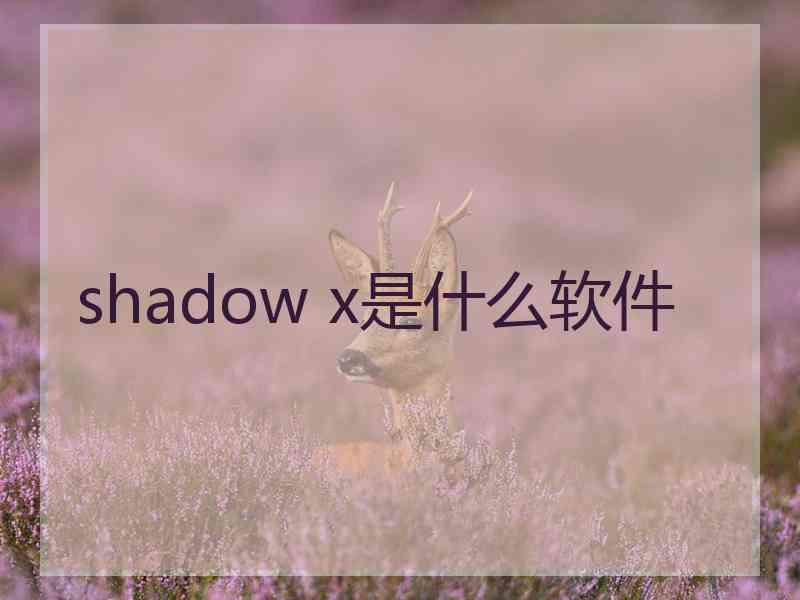 shadow x是什么软件