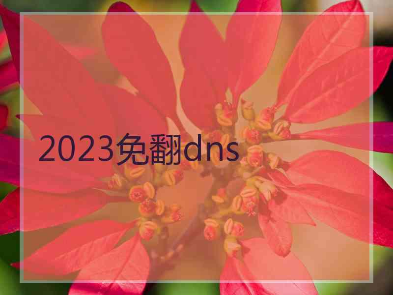 2023免翻dns