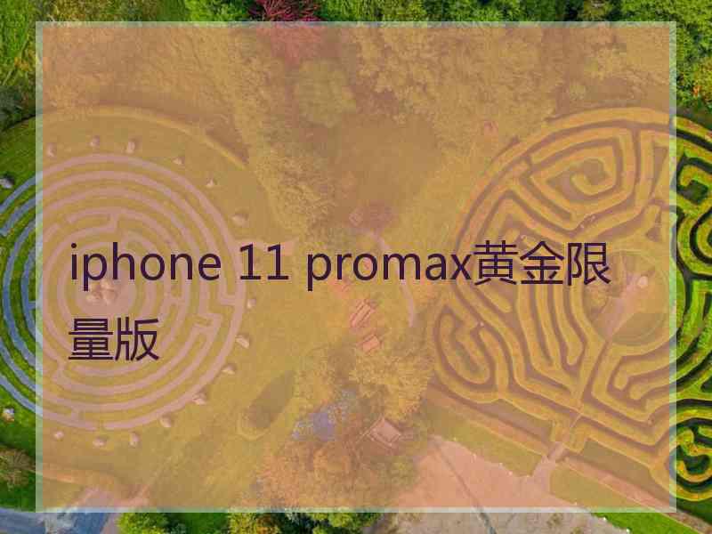 iphone 11 promax黄金限量版