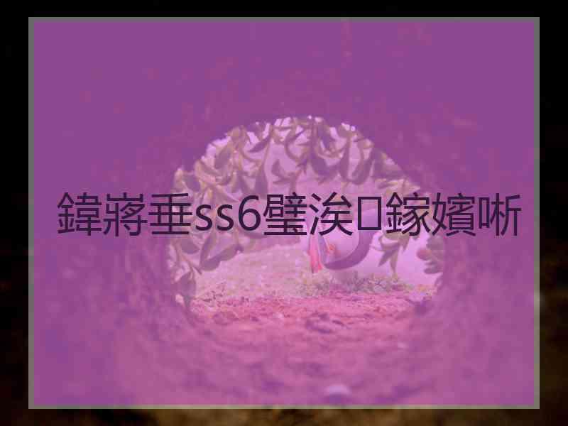 鍏嶈垂ss6璧涘鎵嬪唽