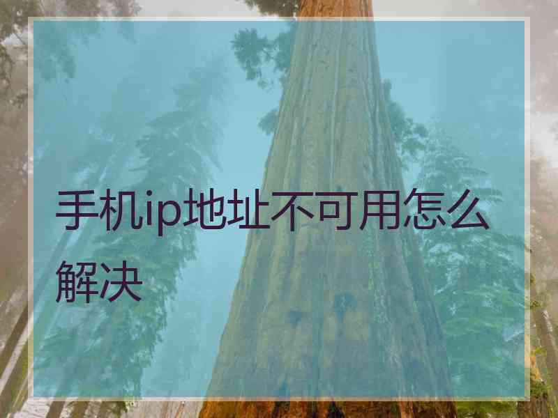 手机ip地址不可用怎么解决