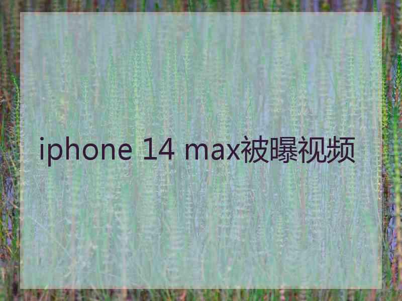 iphone 14 max被曝视频