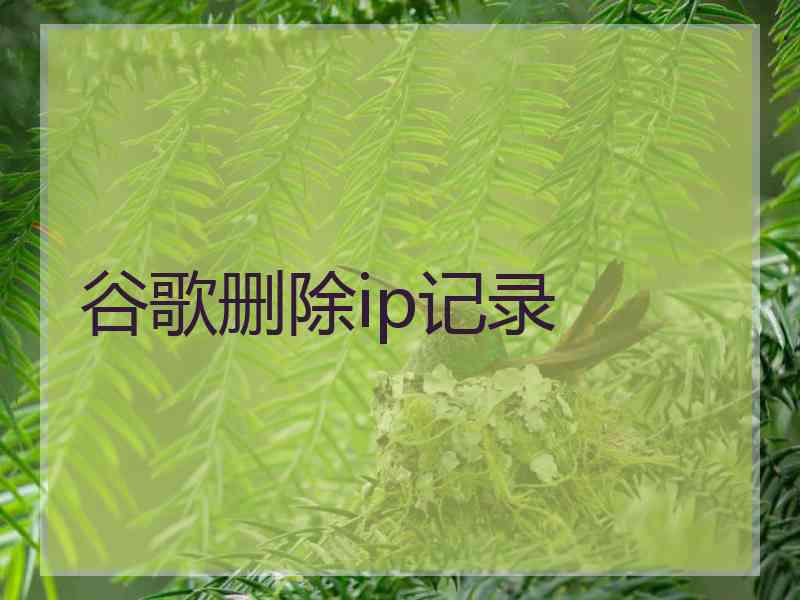 谷歌删除ip记录