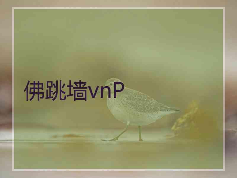 佛跳墙vnP